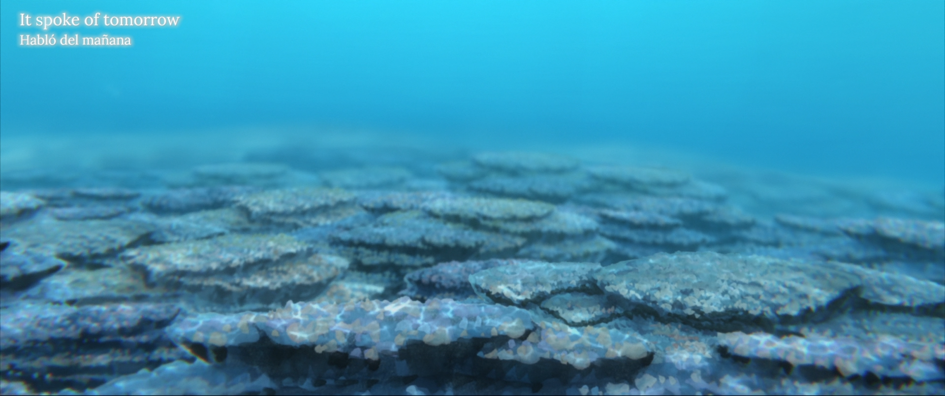 Josee to Tora to Sakanatachi (Sunshine Fansub)